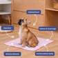 🐶🐱Letná chladiaca podložka pre domáce zvieratá s netoxickým samochladiacim gélom🐶🐱 Letná chladiaca podložka pre domáce zvieratá | Netoxický samochladiaci gél –– Platba na dobierku 🧊✅
