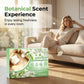 🏵️🏵️ Multi-Purpose Floor Cleaning Wipes – Clean and Quick-Drying – Pay on Delivery ✨✅